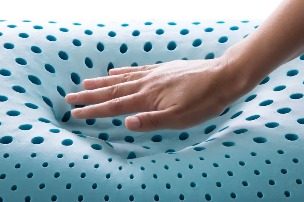 Zoned Activedough pillow Plush