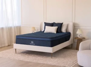 brooklyn bedding signature hybrid in showroom loveland colorado try today
