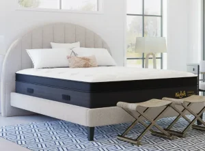 Nolah Evolution northern colorado