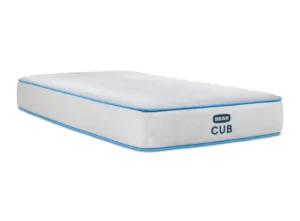bear cub kids mattress fort collins colorado