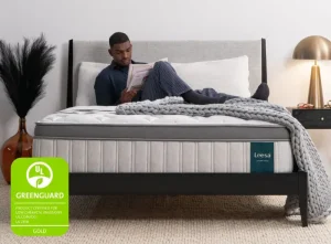 Leesa Legend Chill Loveland Colorado