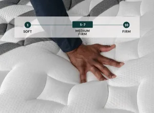 leesa legend chill johnstown colorado