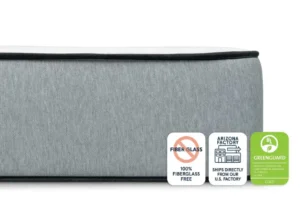 bear pro hybrid northern colorado