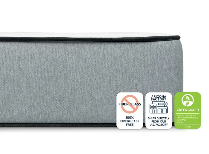 bear pro hybrid northern colorado