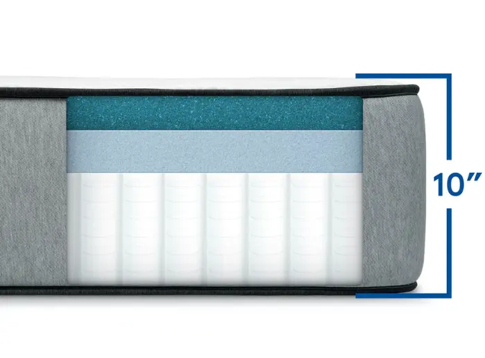 bear pro hybrid ft collins