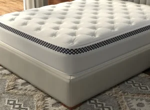 the winkbed northern colorado