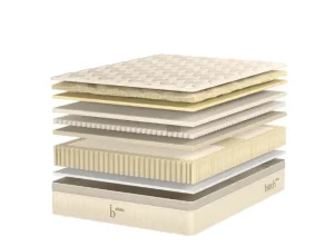 birch elite natural inside fort collins colorado