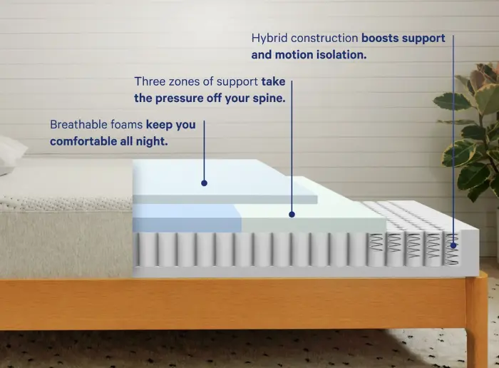 casper dream hybrid ft collins colorado