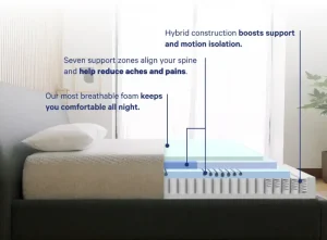 casper dream max ft collins colorado