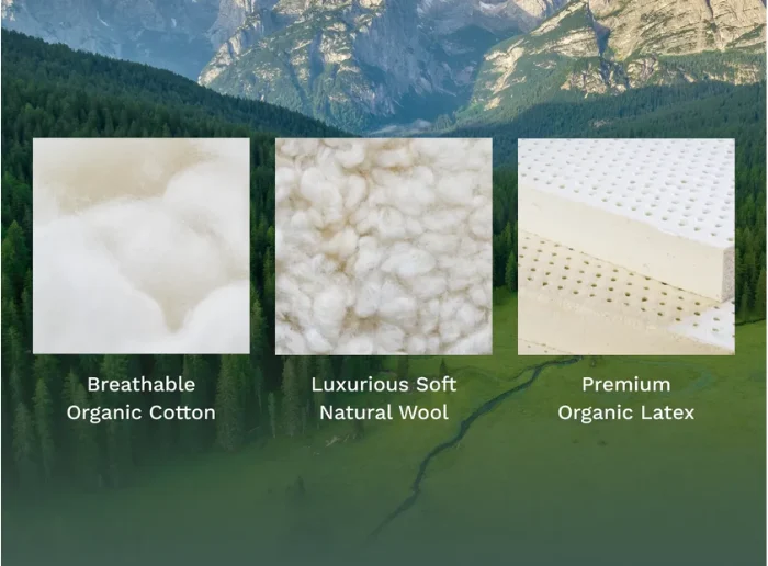 birch natural mattress fort collins colorado