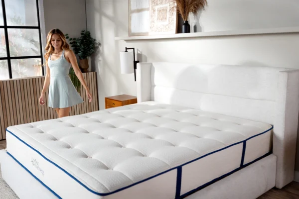 Organic mattress latex wool loveland colorado